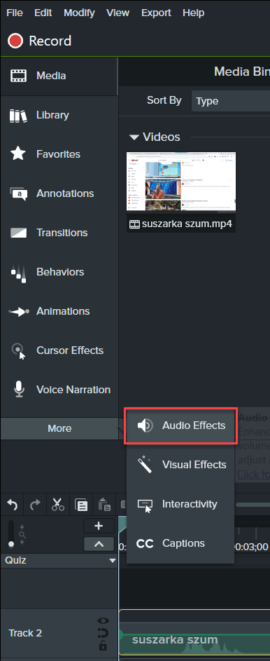 Efekt audio camtasia